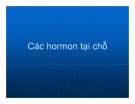 Bài giảng Các hormon tại chỗ
