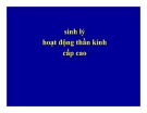 Bài giảng Sinh lý hoạt động thần kinh cấp cao