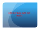Bài giảng Cân cơ đầu mặt cổ (mặt)