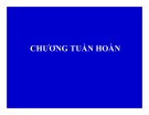 Bài giảng Chương Tuần hoàn - Bài 1: Đại cương tuần hoàn
