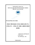 Phân tích khả năng sinh lời Công ty Nhựa Bình Minh (BMP): Tiểu luận Phân tích tài chính