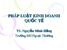 Bài giảng Pháp luật kinh doanh quốc tế: Chương 1 - TS. Nguyễn Minh Hằng