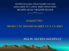 Bài giảng Marketing trong các doanh nghiệp vừa và nhỏ - PST.TS. Nguyễn Quang Cự