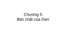 Bài giảng Chương 5: Bản chất của gen (mới nhất)