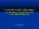 Bài giảng Lý thuyết Vị thế chất lượng: Ứng dụng trong phát triển đô thị, thị trường bất động sản - TS. Hoàng Hữu Phê