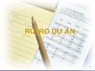 Bài giảng Rủi ro dự án: Kinh nghiệm và phương pháp quản lý hiệu quả
