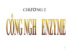 Bài giảng Công nghệ Enzyme Chương 2: Tổng quan và ứng dụng