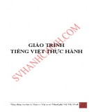 Giáo trình Tiếng Việt thực hành (bậc cao đẳng): Phần 1