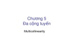 Bài giảng Kinh tế lượng: Chương 5: Đa cộng tuyến