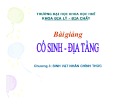 Bài giảng Cổ sinh địa tầng - Sinh vật nhân chính thức: Tổng quan chương 3
