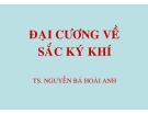 Bài giảng Đại cương sắc ký khí TS. Nguyễn Bá Hoài Anh