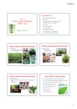 Bài giảng Nhập môn Công nghệ sinh học Chương 4: Nguyễn Vũ Phong