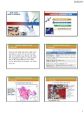 Bài giảng Viễn thám - Chương 3: Hướng dẫn đoán đọc ảnh hiệu quả