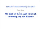 Mô hình lợi thế so sánh Ricardo - James Riedel: Bài giảng và lợi ích từ thương mại