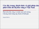 Bài giảng về phát triển đô thị bền vững ở Việt Nam: Đặc trưng, thách thức và giải pháp - Huỳnh Thế Du