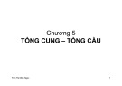 Bài giảng Tổng cung, tổng cầu Chương 5: Trần Thị Minh Ngọc