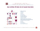 Bài giảng Đại cương về máu và cơ quan tạo máu - ThS. BS Nguyễn Phúc Học