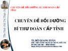 Bồi dưỡng Bí thư đoàn cấp tỉnh: Chuyên đề trọng tâm