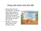 Bài giảng Vòng tuần hoàn sinh hóa đất [Chuẩn SEO]