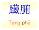Bài giảng Hán cổ: Bài 18