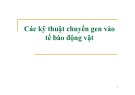 Bài giảng kỹ thuật chuyển gen vào tế bào động vật: Tổng hợp kiến thức