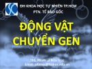 Bài giảng Động vật chuyển gen: Tổng hợp kiến thức chuẩn nhất
