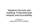 Lecture Database security and auditing - Protecting data integrity and accessibility - Chapter 8: Application Data Auditing