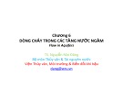 Bài giảng Mô hình nước dưới đất: Chương 6 - TS. Nguyễn Mai Đăng