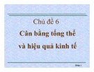 Bài giảng Cân bằng tổng thể và hiệu quả kinh tế - Chủ đề 6
