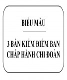 3 bản kiểm điểm Ban chấp hành chi đoàn
