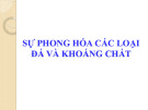 Sự hình thành đất từ mẫu chất: Bài giảng Khoa học đất cơ bản Chương 2