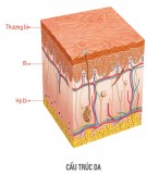 Bài thảo luận nhóm: Thực phẩm đẹp da