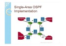 OSPF Implementation Single-Area: Bài giảng Mạng máy tính nâng cao - Chương 12