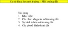Bài giảng Cơ sở khoa học môi trường: Môi trường đất - Nguyễn Thanh Bình