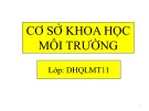 Bài giảng Cơ sở khoa học môi trường: Giới thiệu - Nguyễn Thanh Bình