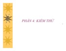 Bài giảng Kiểm thử - Chương 6: Kiểm thử phần mềm