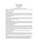 Tiêu chuẩn ngành 10 TCN 192:1994: Thông tin chi tiết và đầy đủ nhất