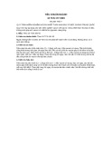 Tiêu chuẩn ngành 10 TCN 177:1993: Thông tin đầy đủ, chi tiết nhất