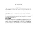 Tiêu chuẩn ngành 10 TCN 176:1993: Thông tin đầy đủ, chi tiết nhất