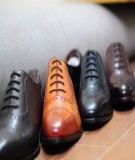 Sổ tay hướng dẫn hệ thống ISO 14001:2015, Lean Manufacturing và công cụ quản lý nâng cao cho ngành thuộc da, sản xuất nguyên phụ liệu da giày