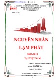 Tiểu luận: Nguyên nhân lạm phát 2010-2011 tại Việt Nam