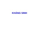 Bài giảng về Kháng sinh