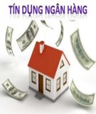 Thông tin bất cân xứng: Hoạt động tín dụng tại Việt Nam