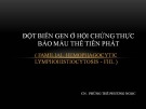 Bài giảng Đột biến gen ở hội chứng thực bào máu thể tiên phát