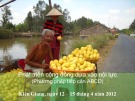Bài giảng Phát triển cộng đồng dựa vào nội lực: Kinh nghiệm và hướng dẫn