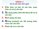 Ôn tập Tin học cơ bản Modul 4 ThS. Võ Minh Đức: Kinh nghiệm và hướng dẫn