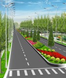 Giá trị của cây xanh và không gian tự nhiên trong môi trường đô thị