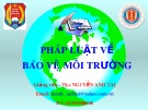 Pháp Luật Bảo Vệ Môi Trường: Bài Giảng Chương 2 - ThS Nguyễn Anh Tài