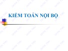 Bài giảng Kiểm toán nội bộ: Chương 1 - ĐH Thương Mại