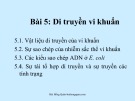 Bài giảng Vi sinh vật học: Bài 5 Bùi Hồng Quân (mới nhất)